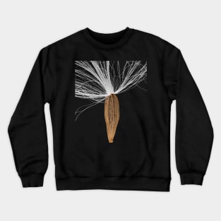 Seed of Lapsana communis, the common nipplewort Crewneck Sweatshirt